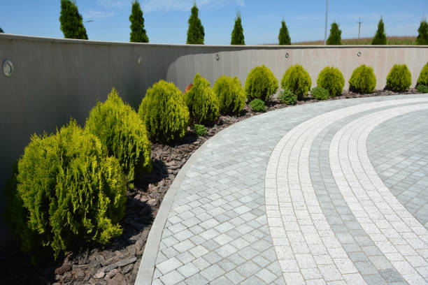 Best Local Driveway Pavers  in Martinez, CA